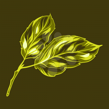 Illustration of apple leaves. Stylized hand drawn plant.