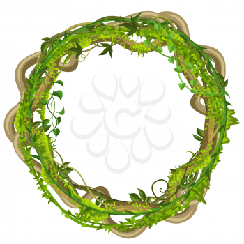 Twisted wild lianas branches frame. Jungle vines plants. Woody natural tropical rainforest.