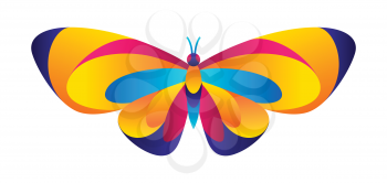 Colorful butterfly. Bright abstract insect on white background.