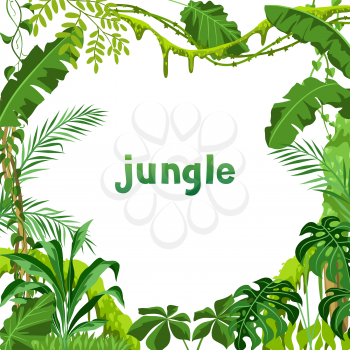 Background with jungle plants. Tropical leaves. Woody natural rainforest.