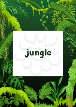 Background with jungle plants. Tropical leaves. Woody natural rainforest.