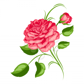Decorative element with red roses. Beautiful flowers, buds and leaves.