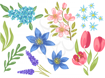Set of spring flowers. Beautiful decorative natural plants, buds and leaves.