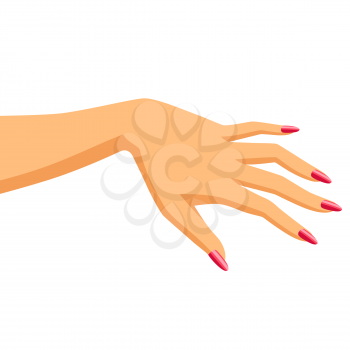 Illustration of woman hand. Elegant hand with manicure.