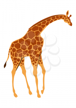 Stylized illustration of giraffe. Wild African savanna animal on white background.