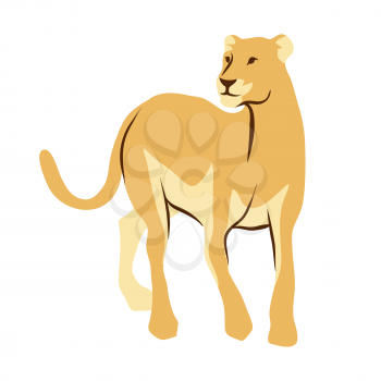 Stylized illustration of lioness. Wild African savanna animal on white background.