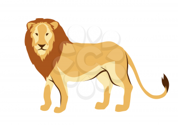 Stylized illustration of lion. Wild African savanna animal on white background.