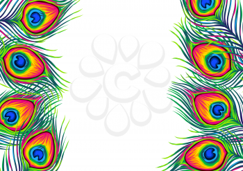 Background with peacock feathers. Color hand drawn exotic bird plumage.