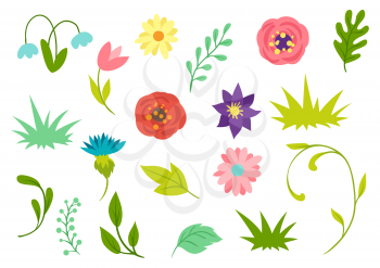 Set of spring flowers. Beautiful decorative natural plants, buds and leaves.