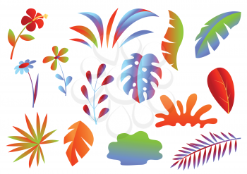 Set of tropical leaves and flowers. Decorative exotic foliage and plants.