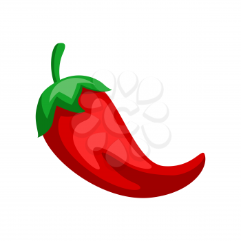 Illustration of red chili pepper. Mexican traditional seasoning.