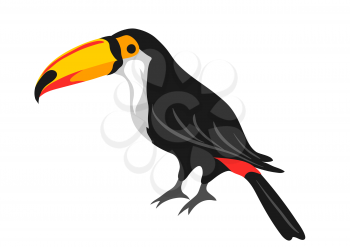Illustration of toucan. Tropical exotic bird isolated on white background.