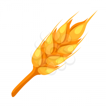Wheat spike icon. Illustration solated on white background.