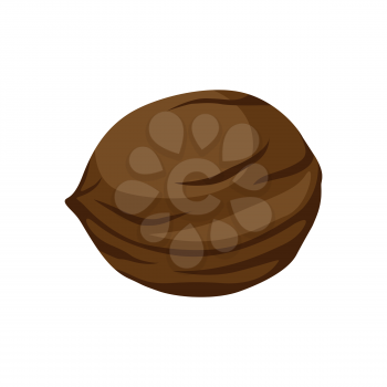 Brown walnut icon. Illustration solated on white background.