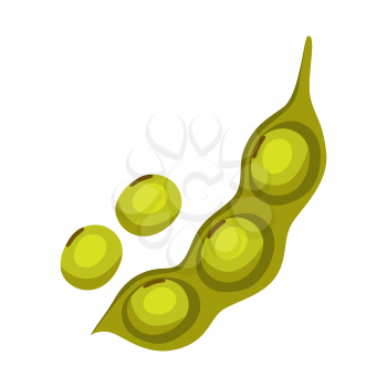 Soy bean pod icon. Illustration solated on white background.