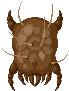 Icon dust mite insect. Illustration solated on white background.