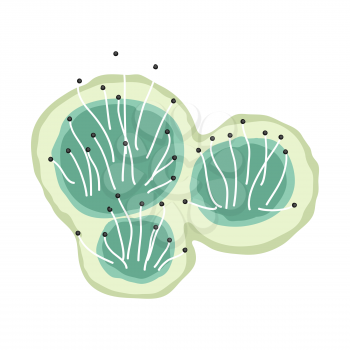 Green mold icon. Illustration solated on white background.