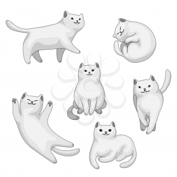 Set of cartoon white cats. Cute pets on white background.