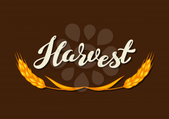 Harvest typography lettering emblem. Autumn seasonal background.