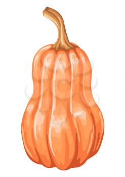 Illustrastion of autumn ripe pumpkin. Harvest icon.