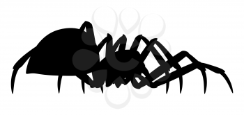 Black widow spider silhouette. Illustration for Halloween holiday.