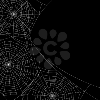 Spider web silhouette Halloween background. Black and white illustration.