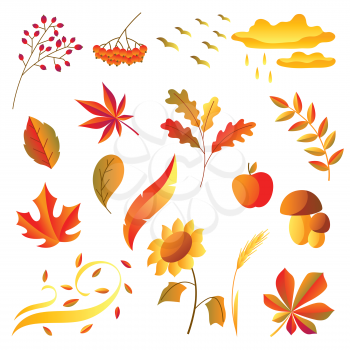 Set of stylized autumn items. Falling leaves, berries and plants.