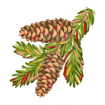 Illustration of spruce branch with fir cones. Stylized hand drawn image in retro style.