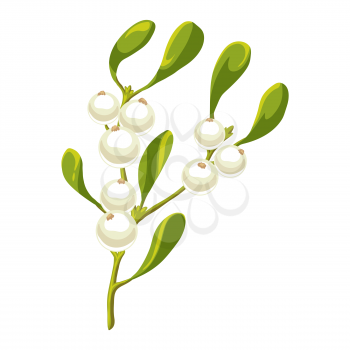Illustration of mistletoe branch with berries. Stylized hand drawn image in retro style.