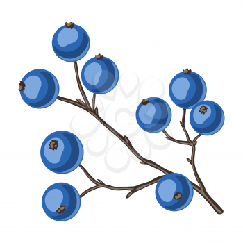 Illustration of branch with berries. Stylized hand drawn image in retro style.