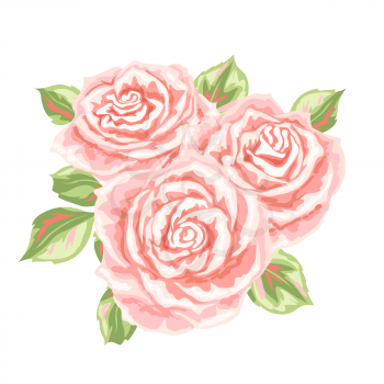 Decorative element with pink roses. Beautiful realistic flowers, buds and leaves.