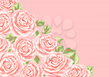 Background or card with pink roses. Beautiful realistic flowers, buds and leaves.