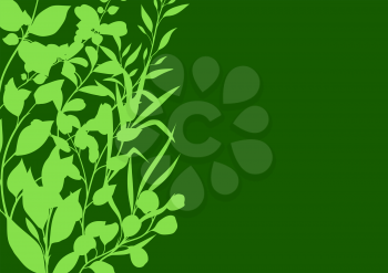 Background of sprigs with green leaves. Decorative natural plants.
