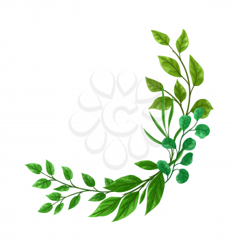 Background of sprigs with green leaves. Decorative natural plants.