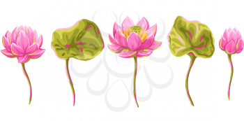 Set of lotus flowers. Water lily decorative illustration. Natural tropical plants.
