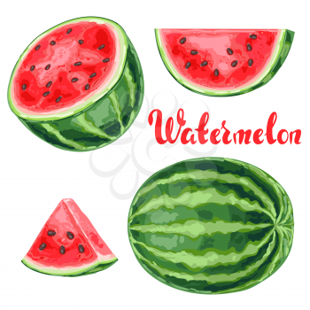 Set of watermelons and slices. Summer fruit decorative illustration.
