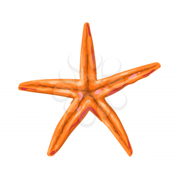 Illustration of starfish. Tropical underwater decorative sea animal.