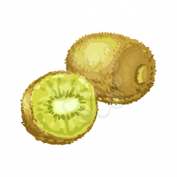 Illustration of ripe kiwi and slice. Summer fruit in decorative style.