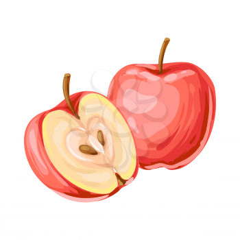 Illustration of ripe apple and slice. Summer fruit in decorative style.