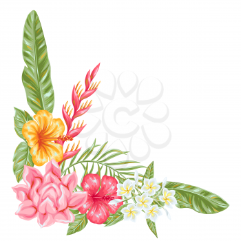 Decorative element with tropical flowers and leaves. Exotic foliage, palms and plants.