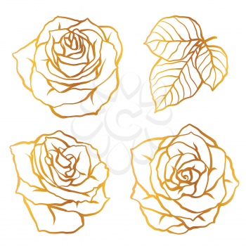 Set of decorative outline roses. Beautiful realistic flowers and leaves.