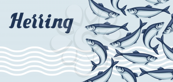 Background with herring fish. Pacific sardine. Seafood illustration.