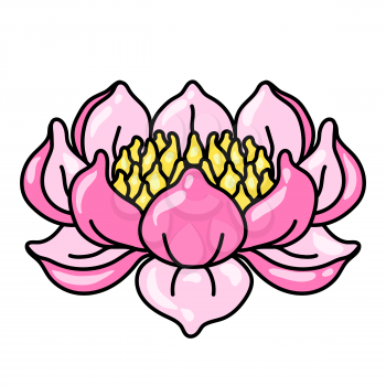 Illustration of lotus flower. Water lily decorative image. Natural tropical plant.