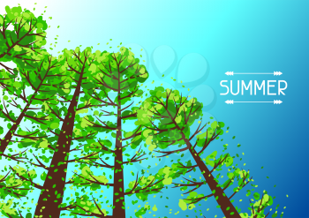Summer forest background with stylized trees. Seasonal illustration.