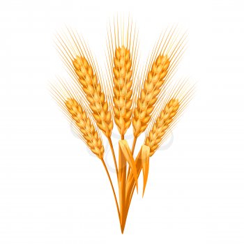 Illustration of ripe wheat ears. Agricultural natural emblem.
