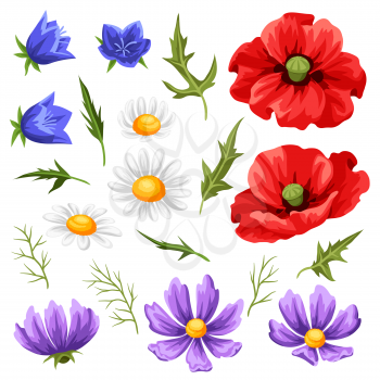Set of summer flowers. Beautiful realistic poppies, daisies and bells.