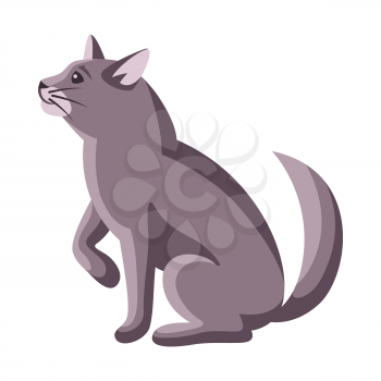 Stylized illustration of sitting cat. Image of cute kitten pet.