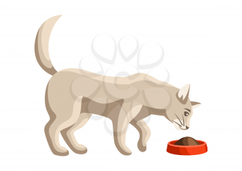 Stylized illustration of eating cat. Image of cute kitten pet.