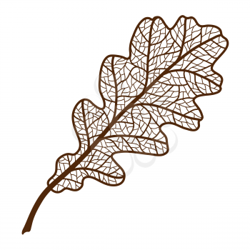 Illustration of autumn oak leaf. Image of foliage with veins.