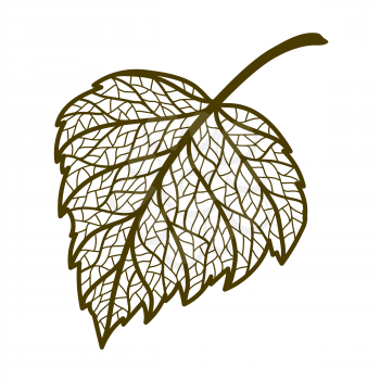 Illustration of autumn birch leaf. Image of foliage with veins.